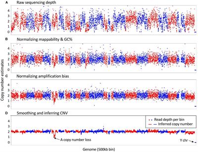 SCCNV: A Software Tool for Identifying Copy Number Variation From Single-Cell Whole-Genome Sequencing